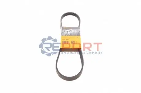 Поліклиновий ремінь  ALFA ROMEO 155 BMW 3 (E36), 5 (E34), 5 (E39), Z3 (E36) FIAT CROMA, TEMPRA, TIPO HYUNDAI EQUUS / CENTENNIAL, XG KIA OPIRUS LANCIA DEDRA 1.3-3.5 08.87-12.13 Contitech 5PK906 Купити в Україні