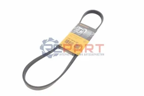 Фото Ремінь генератора Fiat Doblo 1.6 01- Contitech (5PK926ELAST) зображення 1