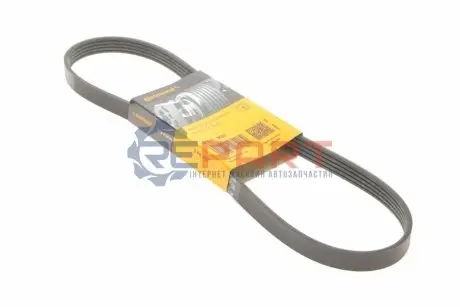 Ремінь генератора Honda Accord/Fiat Punto/VW Passat B7 1.7TD-2.5 -97 Contitech 5PK930 Купити в Україні