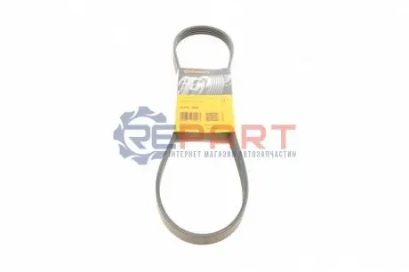 Поліклиновий ремінь FIAT PALIO, SIENA HONDA ACCORD IV, ACCORD V, LEGEND III MITSUBISHI COLT V, LANCER VII 1.3-3.5 01.90-12.13 Contitech 5PK955 Купити в Україні