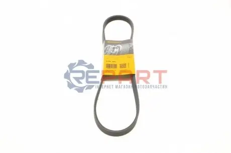 Ремінь генератора Fiat Ducato 1.9D/TD/Peugeot 106 1.5D 94-04/Mitsubishi Lancer/Space Star 1.3 98-04 Contitech 5PK962 Купити в Україні
