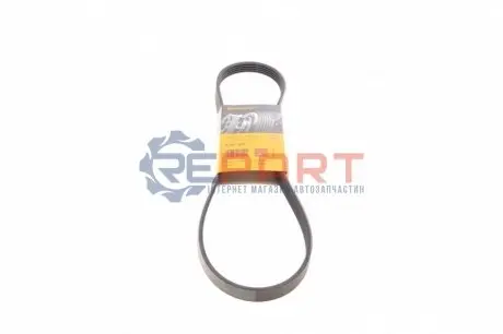 Ремінь генератора BMW 5 (E34) 4.0i/Fiat Fiorino 1.7TD 92- Contitech 5PK975 Купити в Україні