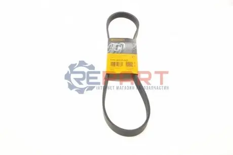 Фото Ремінь генератора Ford Fiesta V-VI/Focus III 1.2-1.6LPG 01- Contitech (6PK1019ELAST) зображення 1