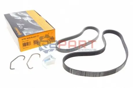 Поліклиновий ремінь FORD FIESTA V, FUSION MAZDA 2 1.2-1.6 11.01-12.12 Contitech 6PK1019ELASTT1 Купити в Україні