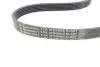 Фото Поліклиновий ремінь FORD FIESTA V, FUSION MAZDA 2 1.2-1.6 11.01-12.12 Contitech (6PK1019ELASTT1) зображення 5