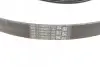Фото Поліклиновий ремінь FORD FIESTA V, FUSION MAZDA 2 1.2-1.6 11.01-12.12 Contitech (6PK1019ELASTT1) зображення 6