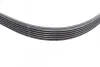 Фото Поліклиновий ремінь FORD FIESTA V, FUSION MAZDA 2 1.2-1.6 11.01-12.12 Contitech (6PK1019ELASTT1) зображення 7
