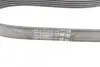 Фото Поліклиновий ремінь FORD FIESTA V, FUSION MAZDA 2 1.2-1.6 11.01-12.12 Contitech (6PK1019ELASTT1) зображення 10