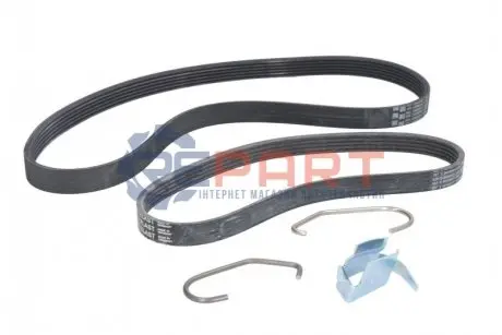 Ремінь генератора Ford Fiesta/Focus 1.4/1.6i 16V 01-12 (6PK1019 ELAST+5PK690 ELAST) Contitech 6PK1019T1 Купити в Україні