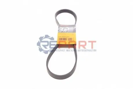 Поліклиновий ремінь (6PK1029, комплект) FORD B-MAX, FIESTA, FIESTA VI, MONDEO IV 1.25-1.6 03.07 Contitech 6PK1029ELAST Купити в Україні