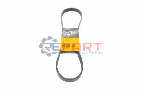 Ремінь генератора Ford C-Max II/Focus III/Fiesta VI/Mondeo IV 1.2-1.6LPG 07- Contitech 6PK1033ELAST Купити в Україні