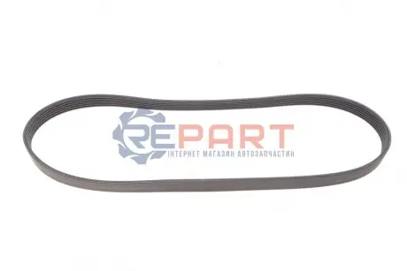 Поліклиновий ремінь (6PK1034) AUDI A3, A3 ALLSTREET, Q3 CUPRA FORMENTOR, LEON, LEON SPORTSTOURER, TERRAMAR SEAT LEON, LEON SPORTSTOURER SKODA KODIAQ II, OCTAVIA IV, SUPERB IV 1.0H/1.5H 11.19 Contitech 6PK1034EXTRA Купити в Україні