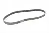 Фото Поліклиновий ремінь (6PK1042) FORD FIESTA V, FOCUS I, FOCUS II, FUSION MAZDA 2 1.2-1.6LPG 10.98-12.12 Contitech (6PK1042ELAST) зображення 5