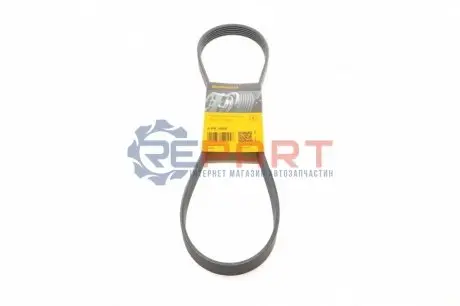 Ремінь генератора Fiat Doblo 1.9D Contitech 6PK1050 Купити в Україні