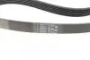 Комплект поликлинових ременів (з роликами) CITROEN C2, C2 ENTERPRISE, C3 I, C3 II, C3 PLURIEL, C4, C4 I, C4 PICASSO I PEUGEOT 1007, 207, 307 1.1-2.0 08.00 Contitech (6PK1050K3) зображення 3