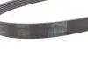 Ремень генератора поликлиновый CONTINENTAL Contitech (6PK1054) изображение 2