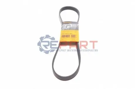 Поліклиновий ремінь (6PK1059, комплект) VOLVO C30, S40 II, V50 FORD C-MAX, FOCUS C-MAX, FOCUS II, FOCUS III 1.4-1.6LPG 10.03-02.20 Contitech 6PK1059ELAST Купити в Україні