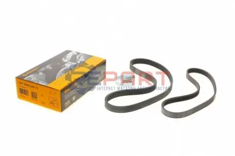 Ремінь генератора Ford Focus 1.4/1.6i 03- (6PK1059+5PK868) К-кт Contitech 6PK1059ELASTT2 Купити в Україні