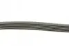 Комплект ремня генератора CONTINENTAL Contitech (6PK1070K1) изображение 2