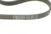 Комплект ремня генератора CONTINENTAL Contitech (6PK1070K1) изображение 3