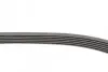 Фото Ремень генератора поликлиновый CONTINENTAL Contitech (6PK1075) изображение 2