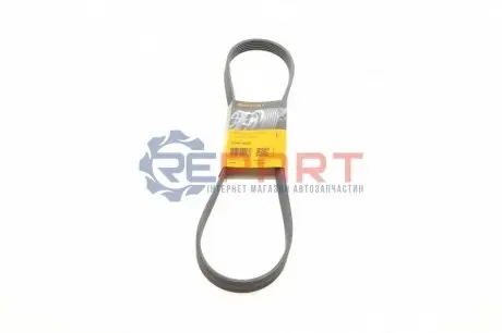 Ремень генератора поликлиновый CONTINENTAL Contitech 6PK1075 Купить в Украине
