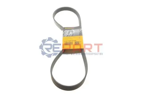 Поліклиновий ремінь (6PK1080) DS DS 5 CITROEN DS5 PEUGEOT 3008 I, 508 I 2.0DH 11.10-12.18 Contitech 6PK1080 EXTRA Купити в Україні