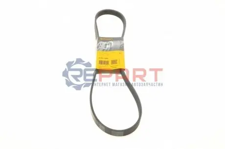 Ремінь генератора Citroen Jumper/Peugeot Boxer 2.0 94-/VW Caddy 1.4 04- Contitech 6PK1095 Купити в Україні