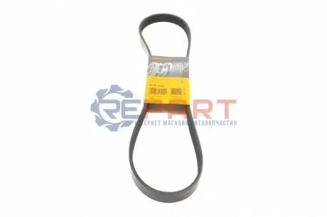 Ремінь генератора Citroen Jumper/Peugeot Boxer 2.0 94-/VW Caddy 1.4 04- Contitech 6PK1100 Купити в Україні