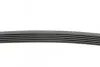 Фото Поліклиновий ремінь ALFA ROMEO 156 FIAT DUCATO, MAREA, PALIO, ULYSSE HONDA ACCORD VI LANCIA KAPPA, LYBRA, ZETA NISSAN CEFIRO III, TIIDA RENAULT ESPACE IV 1.0-3.5 03.94-12.15 Contitech (6PK1105) зображення 2