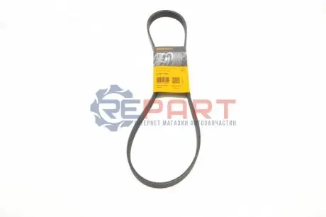 Поліклиновий ремінь  ALFA ROMEO 156 FIAT DUCATO, MAREA, PALIO, ULYSSE HONDA ACCORD VI LANCIA KAPPA, LYBRA, ZETA NISSAN CEFIRO III, TIIDA RENAULT ESPACE IV 1.0-3.5 03.94-12.15 Contitech 6PK1105 Купити в Україні