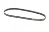 Фото Поліклиновий ремінь ALFA ROMEO 156 FIAT DUCATO, MAREA, PALIO, ULYSSE HONDA ACCORD VI LANCIA KAPPA, LYBRA, ZETA NISSAN CEFIRO III, TIIDA RENAULT ESPACE IV 1.0-3.5 03.94-12.15 Contitech (6PK1105) зображення 5