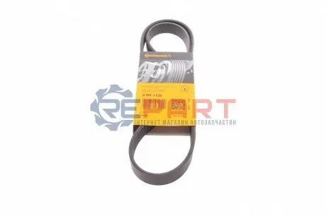 Ремінь генератора Renault Master/Opel Movano/Renault Kangoo 1.9dCi/dTi 98-/Trafic 2.0 06- Contitech 6PK1120 Купити в Україні