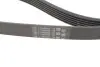 Комплект паса поликлинового Contitech (6PK1120K1) изображение 3