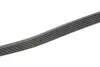 Фото Поліклиновий ремінь (6PK1120) MERCEDES SPRINTER 3,5-T (B906), SPRINTER 3,5-T (B907), SPRINTER 3,5-T (B907, B910), SPRINTER 3-T (B906), SPRINTER 3-T (B907), SPRINTER 3-T (B910, B907) 2.2D 06.06-12.21 Contitech (6PK1124ELAST) зображення 3