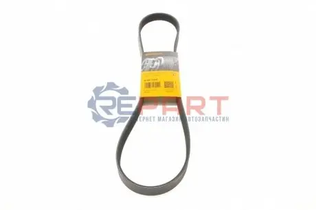 Ремінь генератора Renault Master/Opel Movano/Renault Kangoo 1.9dCi/dTi 98-/Trafic 2.0 06- Contitech 6PK1125 Купити в Україні