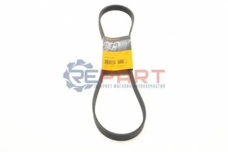 Дорожный пас Contitech 6PK1138 Купить в Украине