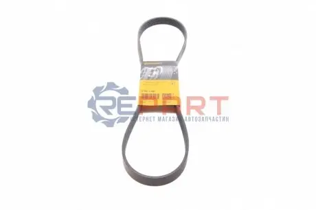 Ремінь генератора Renault Master 2.5dCi (-AC) Contitech 6PK1145 Купити в Україні