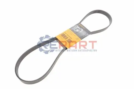 Ремінь генератора Citroen C4/Jumper/Dacia Duster/Peugeot 307/Boxer 1.5D-2.0D 94- Contitech 6PK1157EXTRA Купити в Україні