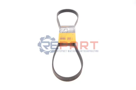 Ремінь генератора Renault Duster 1.5 dCi 17- (6PK1175) Contitech 6PK1173 Купити в Україні