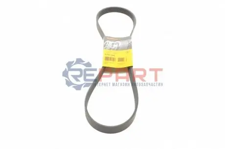Ремінь генератора Citroen Jumper/Fiat Ducato/Peugeot Boxer 2.0/2.2HDi/JTD 02- Contitech 6PK1180 Купити в Україні