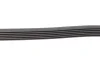 Поліклиновий ремінь BMW 7 (E38) CADILLAC CTS, CTS SPORT, SRX, STS CHRYSLER SEBRING CITROEN C5 I, C5 II, JUMPY I, XM DAIHATSU CUORE VII DODGE AVENGER, JOURNEY 1.0LPG-5.4 10.82 Contitech (6PK1190) зображення 3