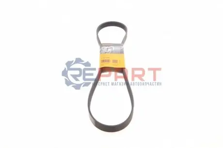 Ремінь генератора Renault Kangoo 1.5 dCi Contitech 6PK1200 Купити в Україні