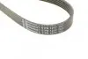 Ремень генератора поликлиновый CONTINENTAL Contitech (6PK1217) изображение 4