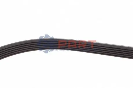 Ремінь генератора Kia Rio IV 1.2-1.25 17- (6PK1232) Contitech 6PK1230 Купити в Україні