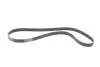 Фото Поліклиновий ремінь AUDI A3 MITSUBISHI MIRAGE / SPACE STAR VI RENAULT LAGUNA I, SAFRANE I, SAFRANE II TOYOTA AURIS, COROLLA VW GOLF V 1.0-3.2 12.92 Contitech (6PK1240) зображення 5