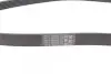 Фото Поліклиновий ремінь (6PK1240) Contitech (6PK1240ELAST) зображення 2