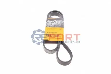 Поліклиновий ремінь (6PK1240) Contitech 6PK1240ELAST Купити в Україні