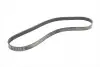 Фото Поліклиновий ремінь (6PK1249) VOLVO C30, S40 II, V50 FORD C-MAX, FOCUS II 1.8-2.0LPG 04.04-12.12 Contitech (6PK1249ELAST) зображення 5