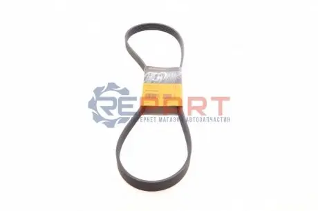 Ремінь генератора Fiat Scudo/Opel Combo 1.7D/DTI/2.0D 01- Contitech 6PK1250 Купити в Україні